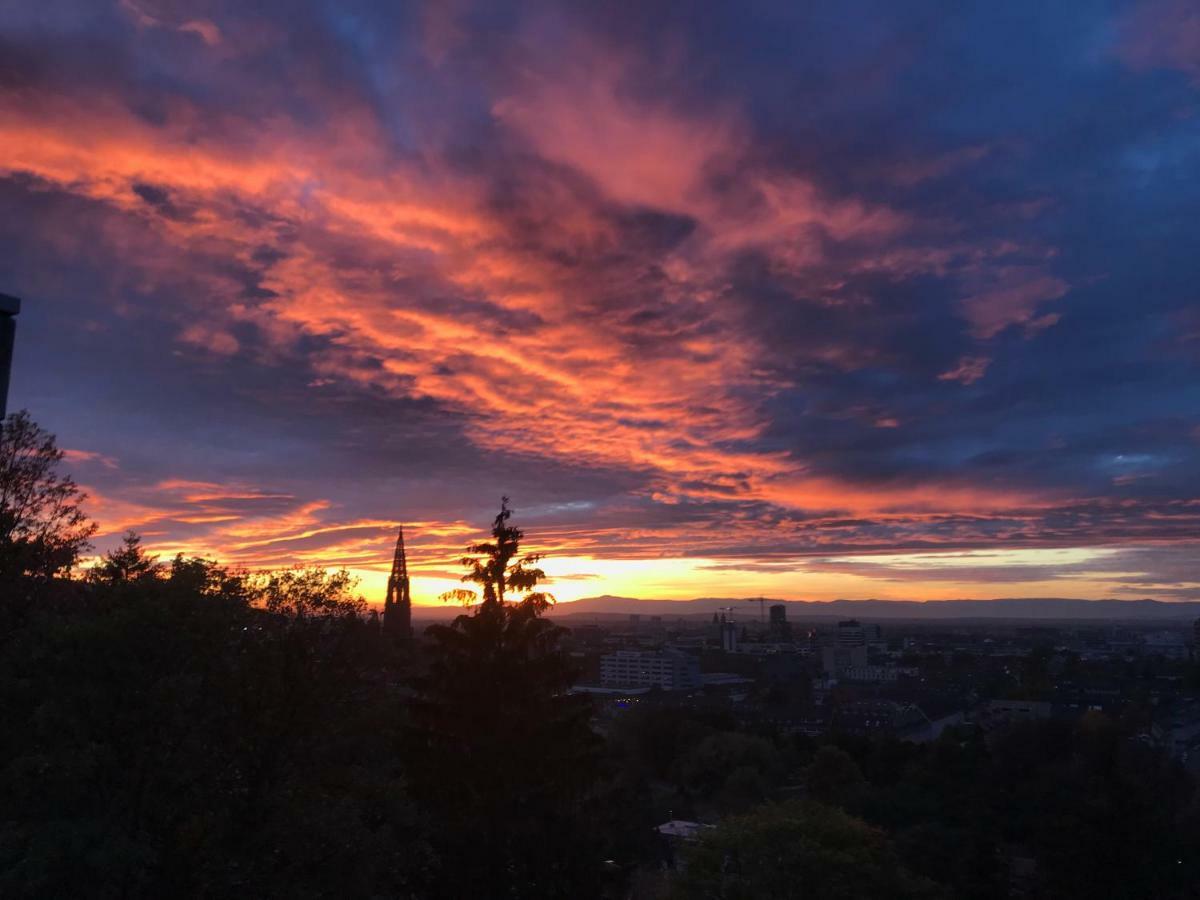 Ferienwohnung-Freiburg-Exklusiv Luaran gambar